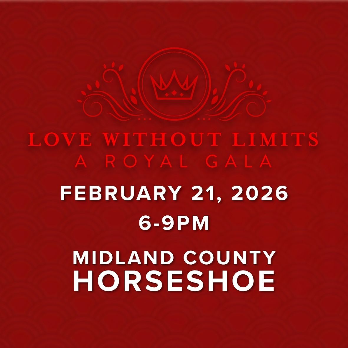 Love Without Limits 2026 - logo